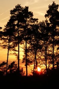 sun set