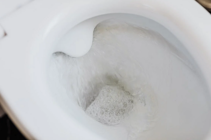 toilet flush